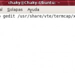 Cambiar el tamaño por defecto del terminal en Ubuntu.